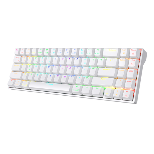 71 Keys RK ROYAL KLUDGE RK71 70% RGB Wireless Mechanical Gaming Keyboard