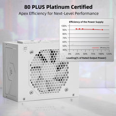 80+ Platium 750 Watt SFX Fully Modular Power Supply