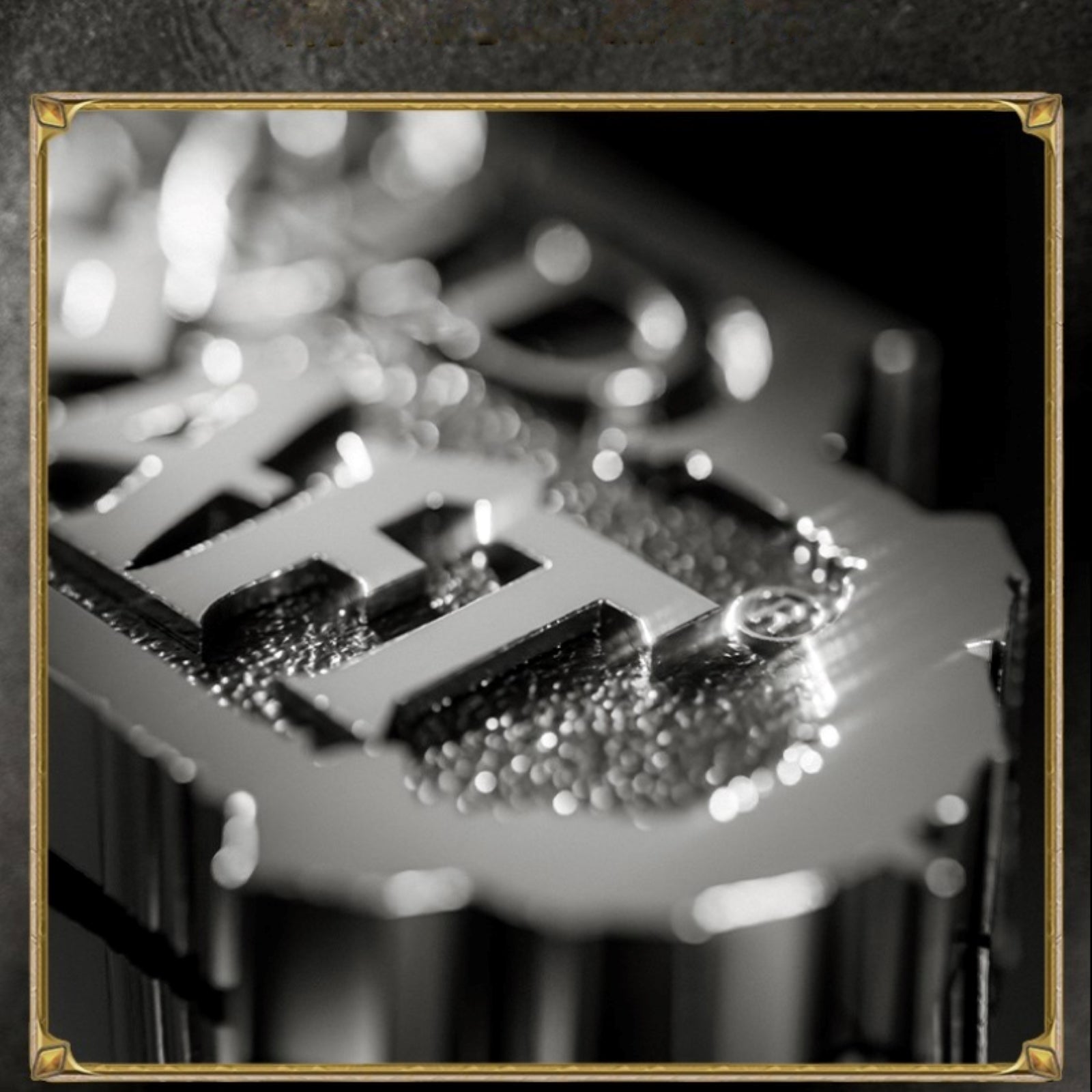 Framed with a gold border, this black-and-white close-up shows a textured metallic emblem (with raised lettering) glinting under light, its surface catching bright highlights and soft bokeh effects against a dark background.