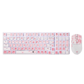 Redragon BS7552 Wireless Keyboard and Mouse Combo 