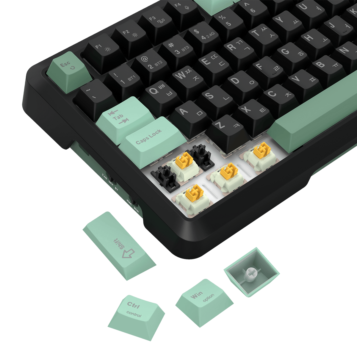 BRAGI K688 PRO, image 4 of 9 - enlarged view