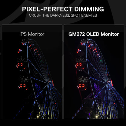 Comparison of IPS Monitor and Redragon GM272 OLED Monitor displaying a Ferris wheel at night.