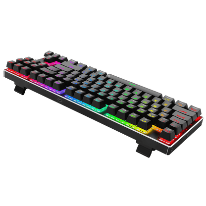 Redragon K556 TKL RGB Wired Mechanical Gaming Keyboard