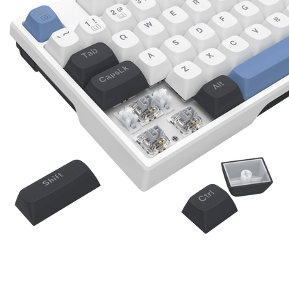 Redragon K668 Wired Gasket RGB Gaming Keyboard, 108 Keys Mechanical Keyboard w/Extra 4 Hotkeys, Upgraded Hot-swappable Socket, Sound Absorbing Foam, Mixed Color Keycaps, Custom Linear Switch