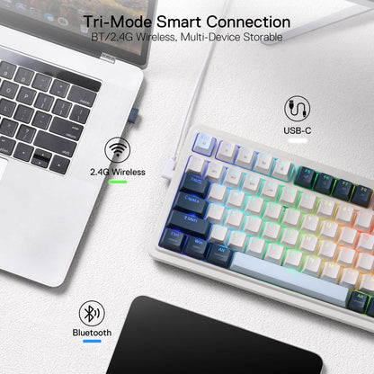 3-Mode Win/Mac Mechanical Keyboard w/5-Layer Noise Dampening