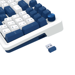 Redragon K686 PRO 98 Keys Wireless Gasket RGB Gaming Keyboard, 3-Mode Win/Mac Mechanical Keyboard w/Hot-Swap Socket, Dedicated Knob Control & Sound Absorbing Pads, Linear Red Switch, Blue Himmel Color