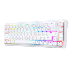 Redragon K709 65% Wired Gasket RGB Gaming Keyboard, 68 Keys Hot-Swap Compact Mechanical Keyboard w/Free-Mod Socket, 3-Layer Noise Dampening & Dedicated Arrow Keys, Quiet Custom Linear Switch