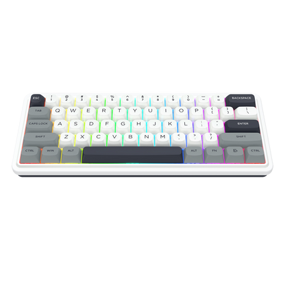 Redragon K722 PRO 60% Wireless Gasket RGB Gaming Keyboard, 61 Keys Hot-Swap Compact Mechanical Keyboard w/Free-Mod Socket, 5-Layer Noise Dampening & Round PBT Keycaps, Quiet Custom Linear Switch