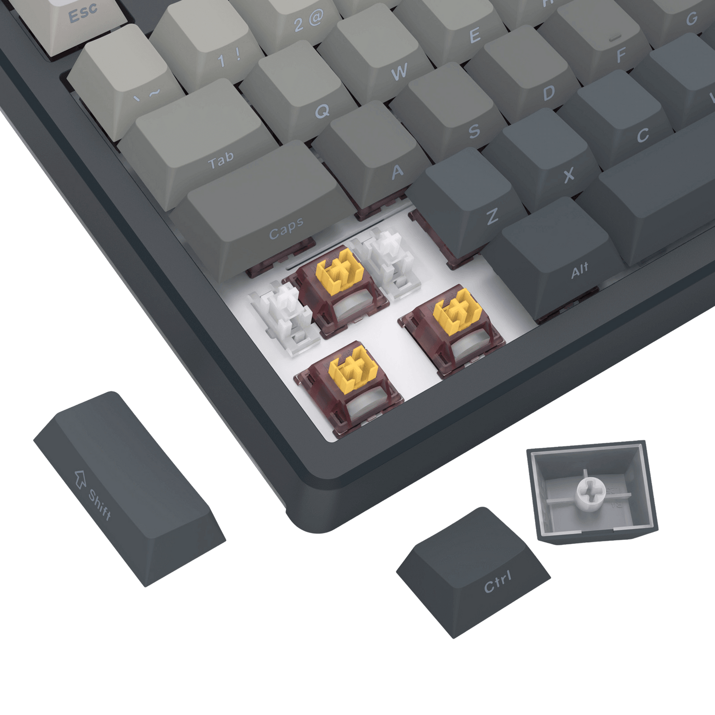 Redragon K729 PRO 80% Wireless Gasket RGB Gaming Keyboard, 3-Mode TKL Mechanical Keyboard w/Knob Control, Gradient PBT Keycaps, Hot-Swap South-Facing Socket & 5-Layer Dampener, Custom Silent Switch
