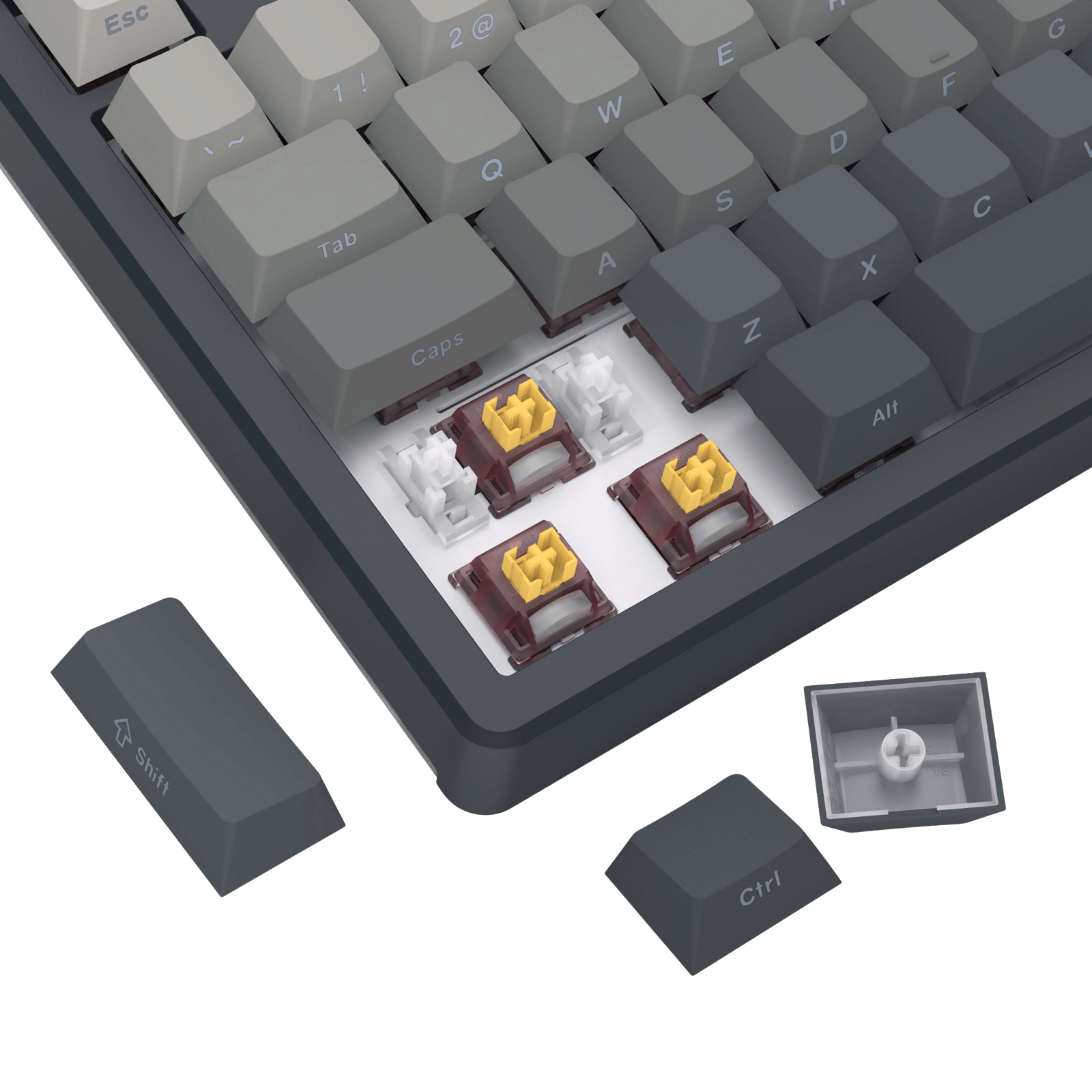 Redragon K729 PRO 80% Wireless Gasket RGB Gaming Keyboard, 3-Mode TKL Mechanical Keyboard w/Knob Control, Gradient PBT Keycaps, Hot-Swap South-Facing Socket & 5-Layer Dampener, Custom Silent Switch