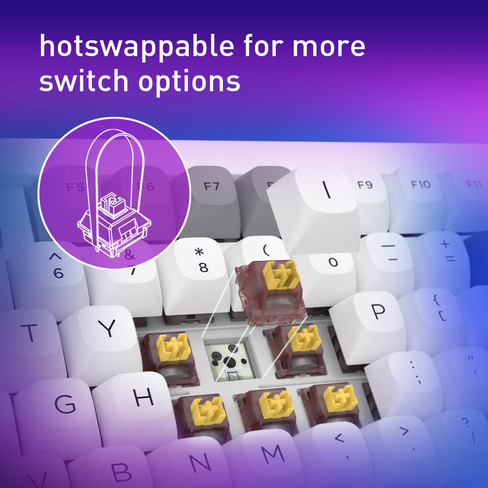 Keyboard with hotswappable keycaps and text 'hotswappable for more switch options' on a gradient purple and blue background.