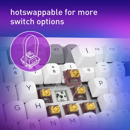 Keyboard with hotswappable keycaps and text 'hotswappable for more switch options' on a gradient purple and blue background.