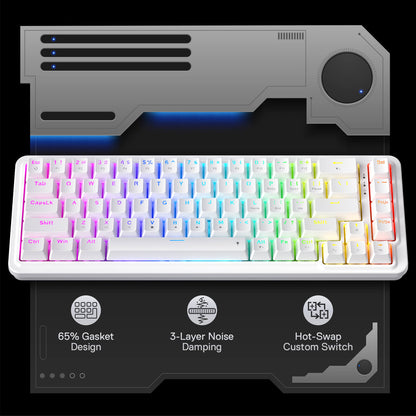 Redragon K709 65% Wired Gasket RGB Gaming Keyboard, 68 Keys Hot-Swap Compact Mechanical Keyboard w/Free-Mod Socket, 3-Layer Noise Dampening & Dedicated Arrow Keys, Quiet Custom Linear Switch