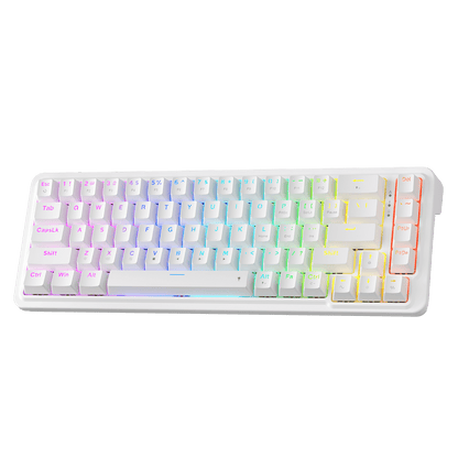 Redragon K709 65% Wired Gasket RGB Gaming Keyboard, 68 Keys Hot-Swap Compact Mechanical Keyboard w/Free-Mod Socket, 3-Layer Noise Dampening & Dedicated Arrow Keys, Quiet Custom Linear Switch,white| show