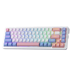 Redragon K709 PRO 65% Wireless Gasket RGB Gaming Keyboard, 68 Keys Hot-Swap Compact Mechanical Keyboard w/Free-Mod Socket, 5-Layer Noise Dampening & Round PBT Keycaps, Quiet Custom Linear Switch