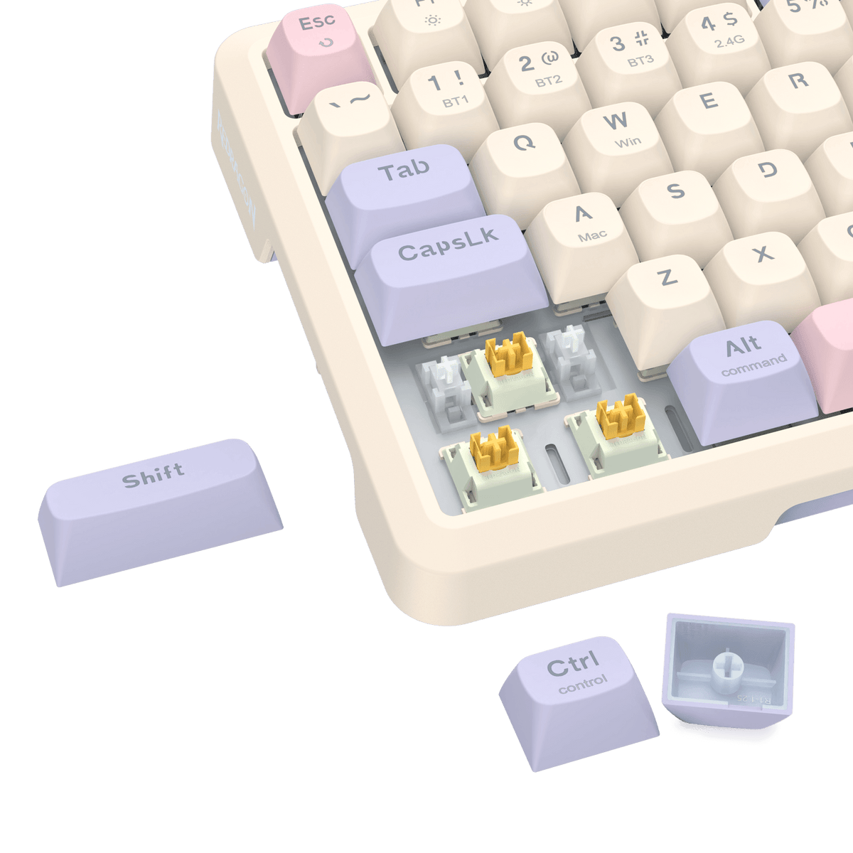 BEHEMOTH K724 PRO , image 48 of 57 - enlarged view