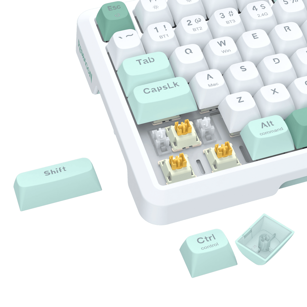 BEHEMOTH K724 PRO , image 56 of 57 - enlarged view