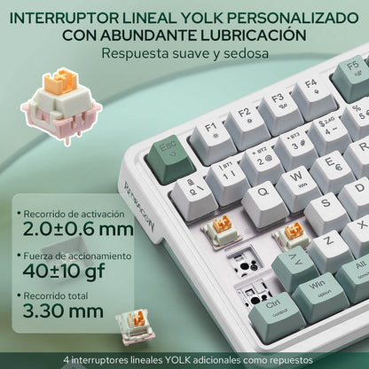 RGB, 2,4 GHz/Bluetooth/con cable, interruptores Dragon Chant, blanco y verde