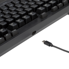 Wireless/Wired RGB Mechanical Gaming Keyboard
