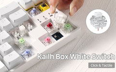 Kailh x Box Switches White for Mechanical Gaming Keyboard DIY