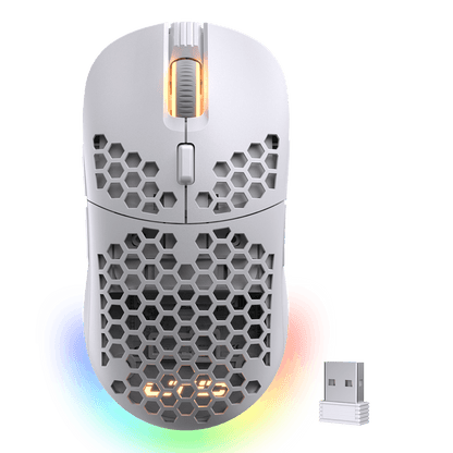 LTC Mosh Pit RGB Wireless/Wired Gaming Mouse