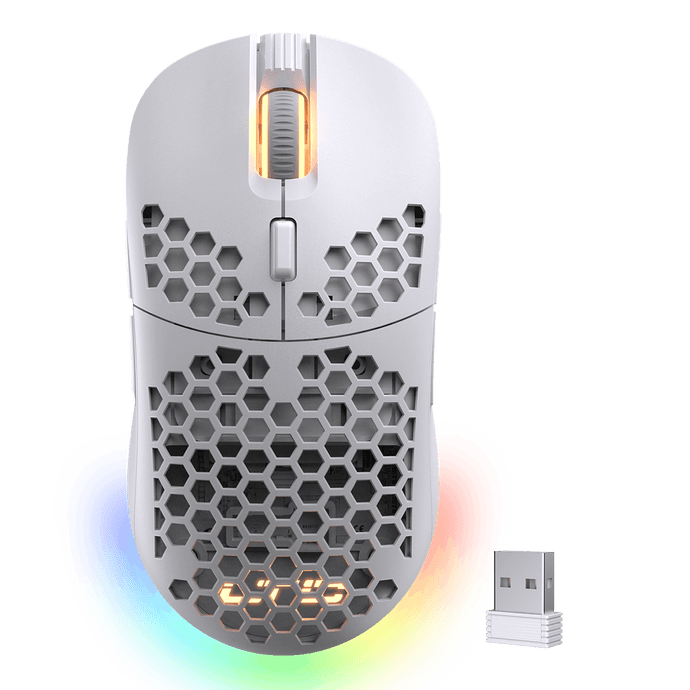 LTC Mosh Pit RGB Wireless/Wired Gaming Mouse
