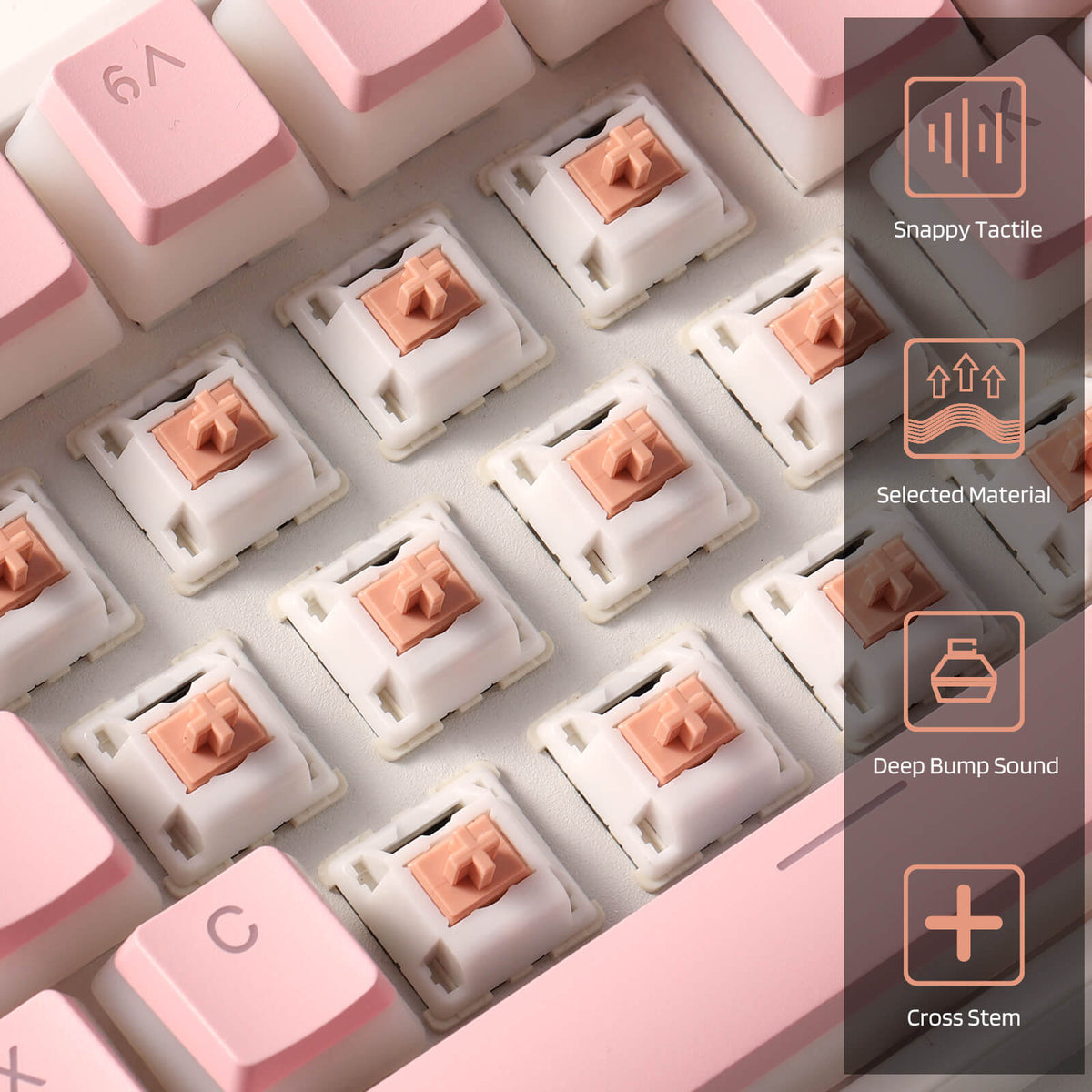 Holy Panda Graph Holy Panda Switches for Mechanical Keyboard DIY (30pcs) – Redragonshop
