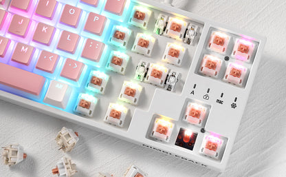 Panda Switches for Mechanical Keyboard DIY