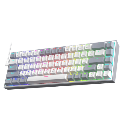 68 Keys Hot-Swappable Compact Mechanical Keyboard w/100% Hot-Swap Socket, Free-Mod Plate Mounted PCB & Dedicated Arrow Keys