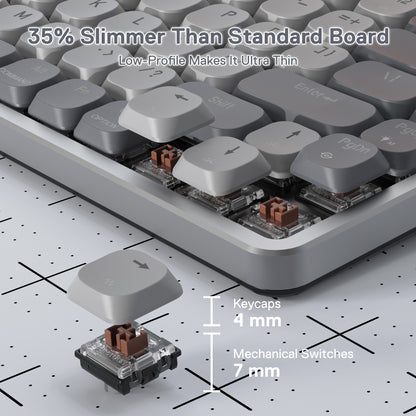 Wireless Mechanical Keyboard for Mac